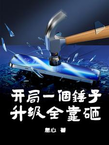 开局一个锤子，升级全靠砸！ cover