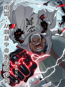 海贼:从摸鱼中将到硬刚伊姆 cover