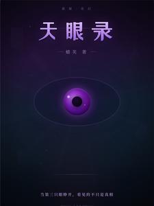 天眼录 cover