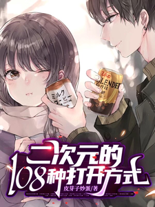 二次元的108种打开方式 cover
