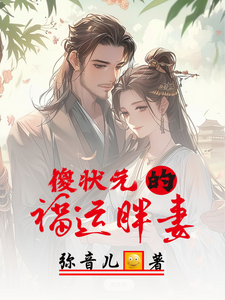 傻状元的福运胖妻 cover