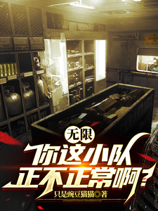 无限：你这小队正不正常啊 cover