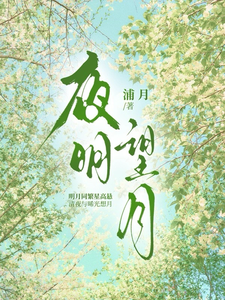 夜明望月 cover
