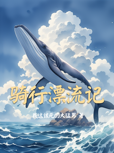 骑行漂流记 cover