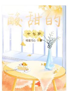 酸甜的十七岁 cover