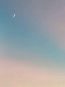 恰似夏天遇骄阳 cover
