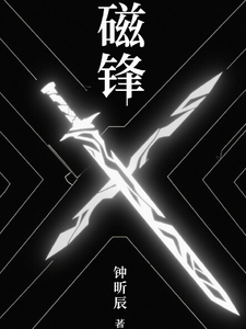 磁锋 cover