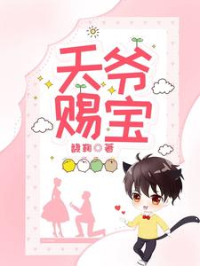 天爷赐宝 cover