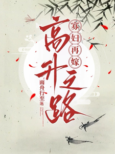 寡妇再嫁高升之路 cover