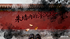 朱墙内的浮沉路 cover