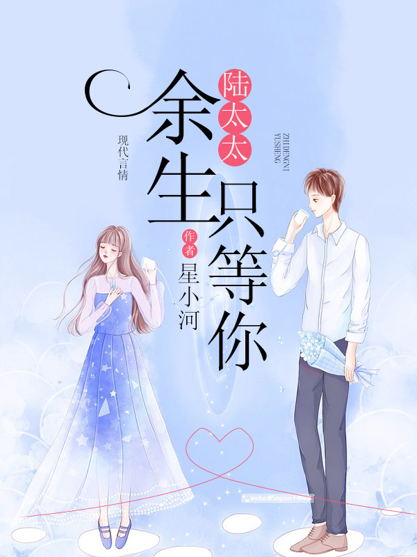 陆太太,余生只等你