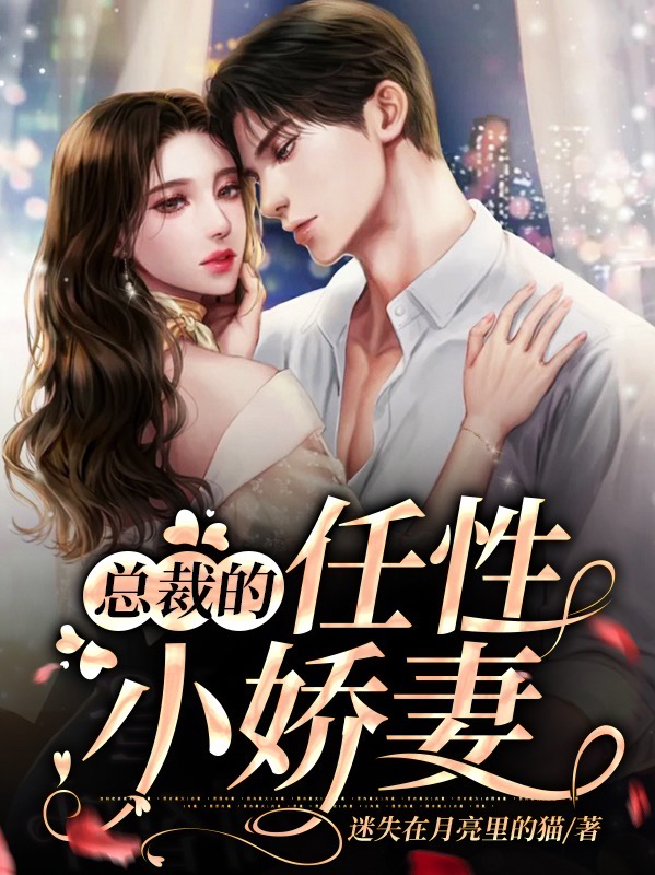 总裁小说小娇妻