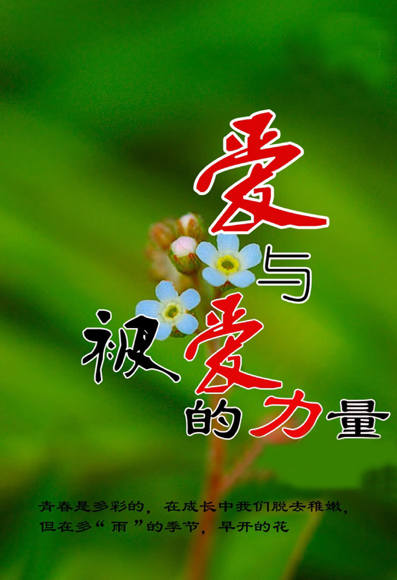 爱与被爱的力量