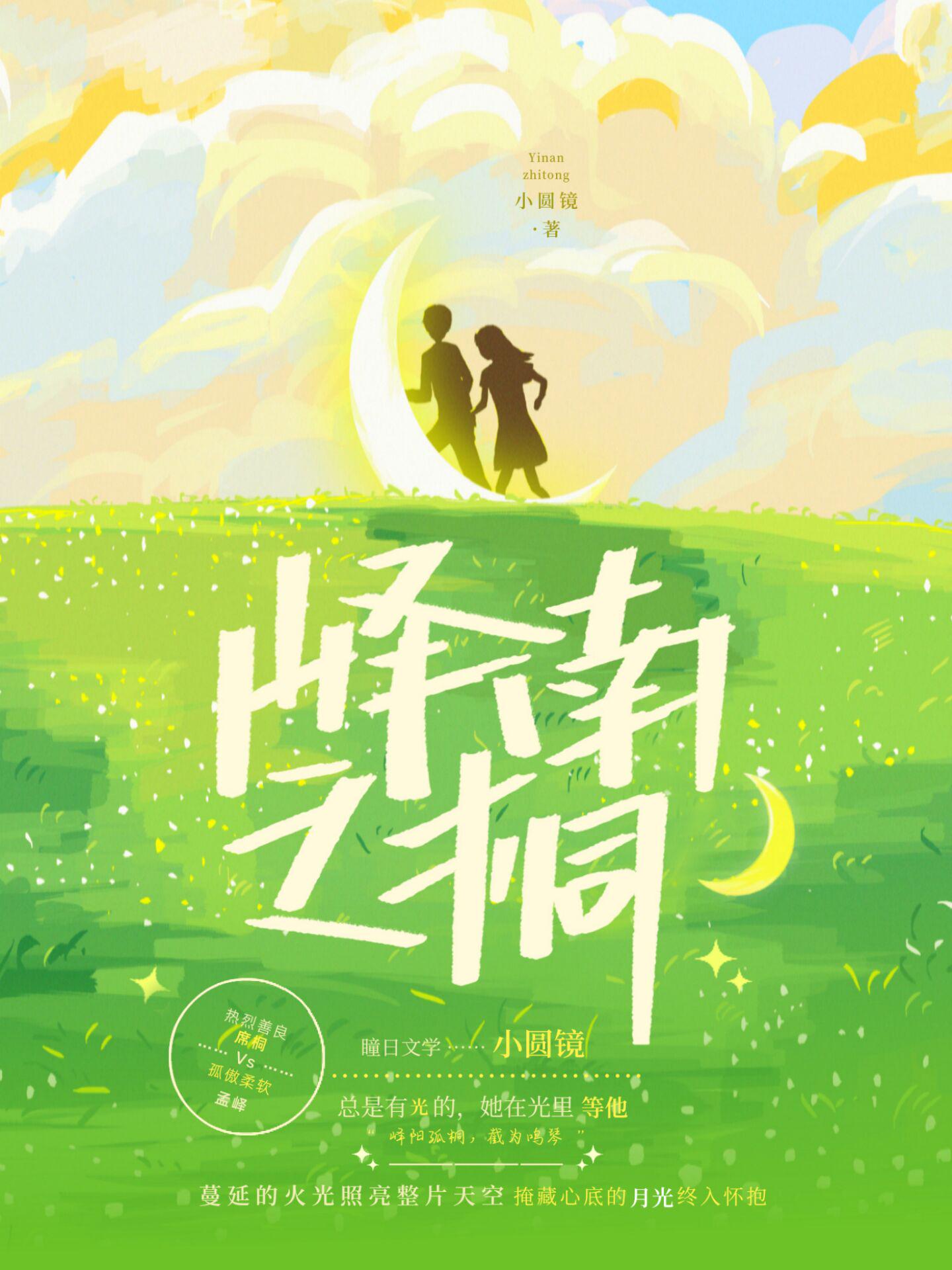 峄南之桐小圆镜讲的什么_番茄小说