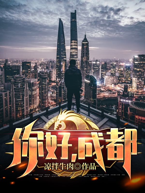 小说你好成都洪宇王静完整版免费阅读