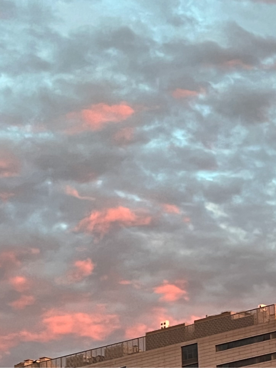 933_1243竖版 竖屏